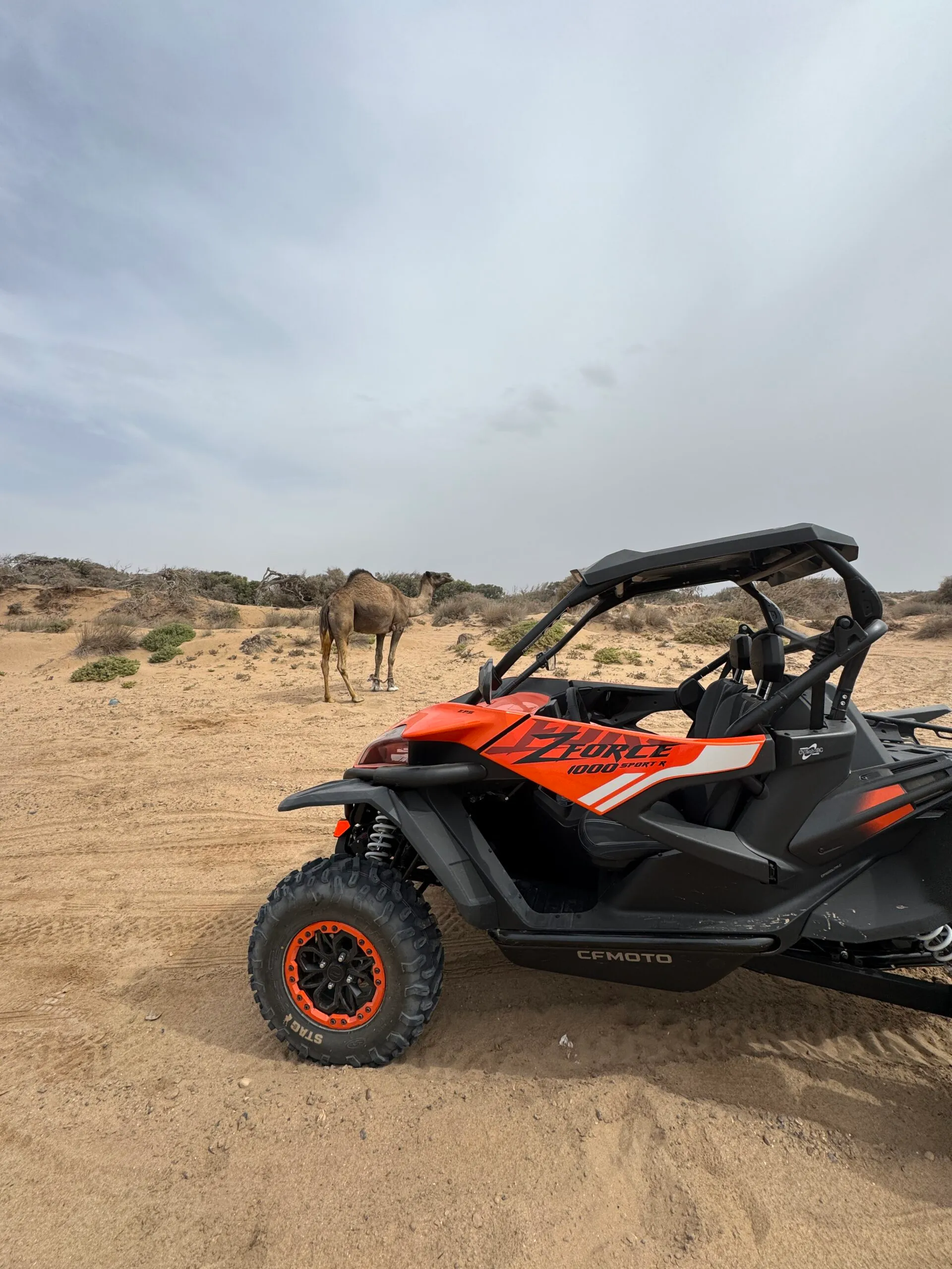 1-Day Buggy Ride in Essaouira Desert and Beach